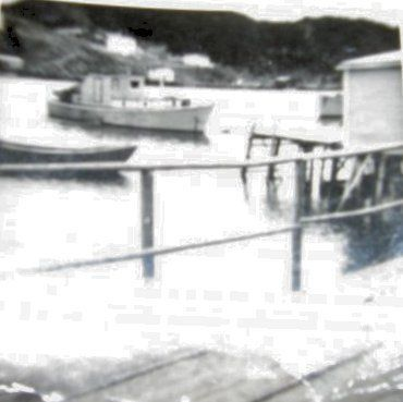 http://lib-lespaul.library.mun.ca/PDFs/cns_decks/DA_Vol17_No01.pdf"}" data-sheets-userformat="{"2":769,"3":{"1":0},"11":4,"12":0}"&amp;gt;24 Father Collins' Boat. Credit: Pearce Penny, Decks Awash magazine Vol 17 #1 http://lib-lespaul.library.mun.ca/PDFs/cns_decks/DA_Vol17_No01.pdf